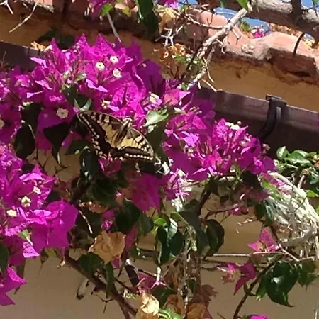 The Garden Villas Villa Maleme